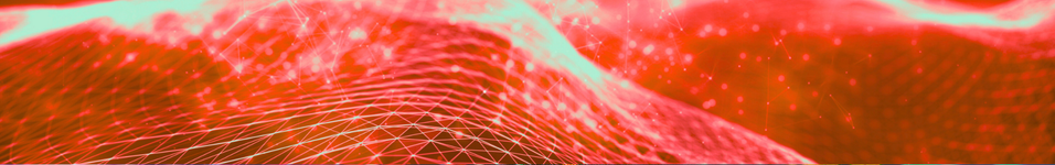 LalinSoft Ekip Toplantısı